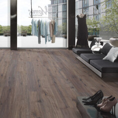 Grand Vintage Next Gen - 5926 Galway Oak, FN